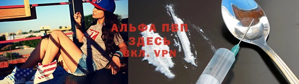 СК Верхний Тагил