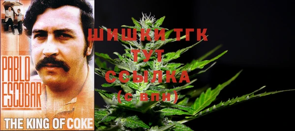 СК Верхний Тагил